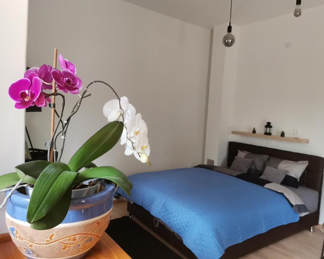Apartments Sandra Lovran Dış mekan fotoğraf